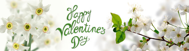 情人节快乐，献上美丽的节日鲜花图片下载