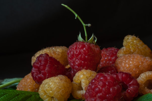 黑色背景的木桌上摆放着不同种类的树莓。低调拍照。模糊的前景。模糊和选择性聚焦。本空间图片下载