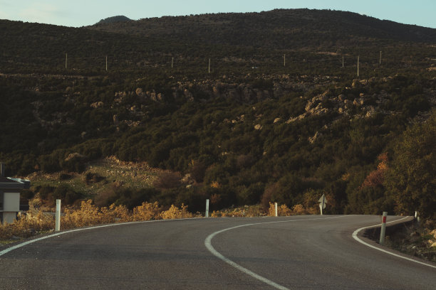 弯曲一条有树木和灌木的车道图片下载