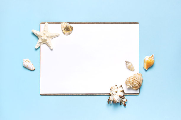 夏日概念，海洋背景。贝壳，海星，白色的空白表在柔和的蓝色背景。俯视图，平躺，复制空间。海洋暑假模型。旅游、海洋纪念品图片下载