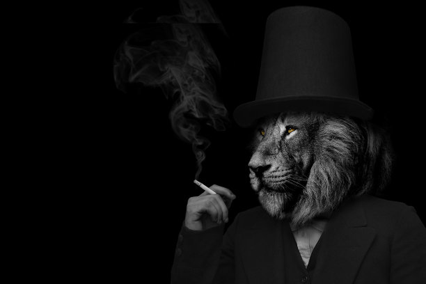 人在狮子的形式，狮子人，动物的脸孤立黑白色图片下载