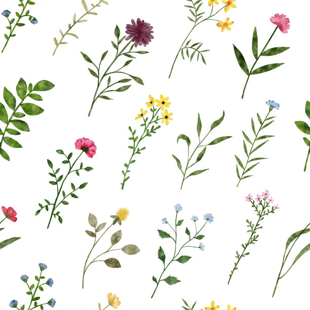 水彩野花无缝图案。植物上春天夏天的花织物纺织品。花园花卉绿叶，野花。自然野生草本插图孤立在白色背景上图片下载