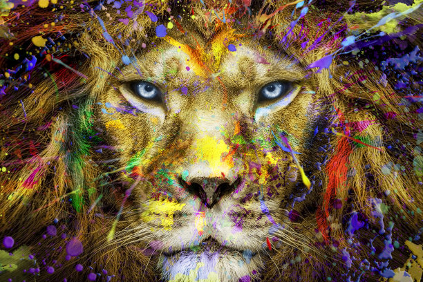 全彩狮子、野生动物水墨、现代抽象艺术图片下载