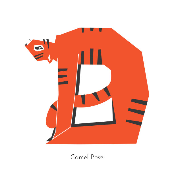 矢量插图与动物角色做瑜伽后屈。亚洲虎学会伸展姿势——骆驼式。运动平衡练习要灵活——乌斯特拉式图片下载