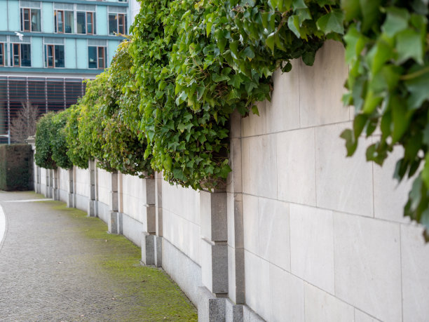 柏林城市街道图片下载