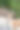 在动物公园里，一只小鹿和游客站在一起吃东西的特写镜头图片下载