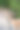 在动物公园里，一只小鹿和游客站在一起吃东西的特写镜头图片下载