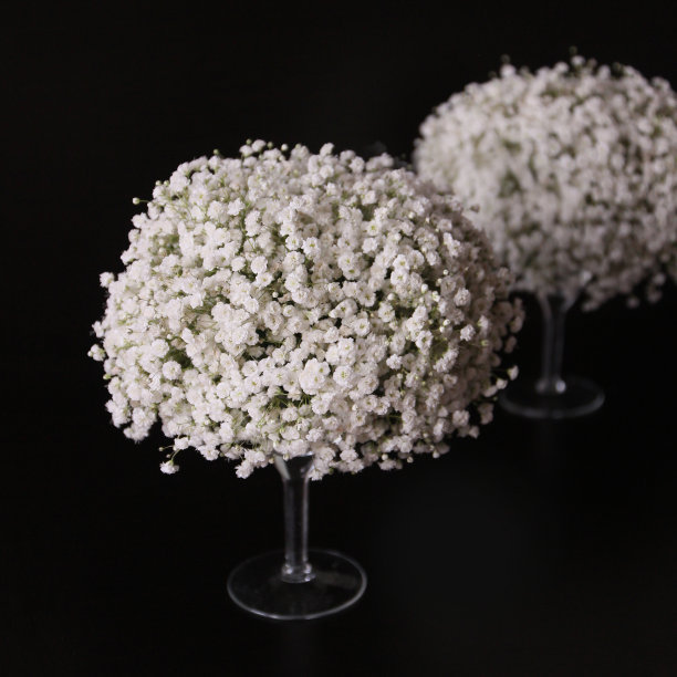 花瓶马丁卡上的插花。就像一团绞股蓝花，用于室内装饰。黑白伽玛的照片。图片下载