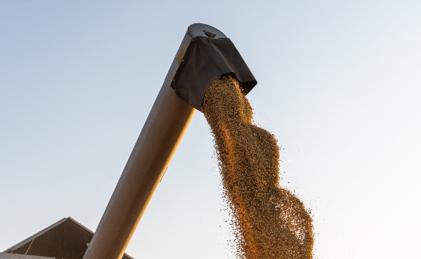 收获后调运大豆的联合收割机图片下载