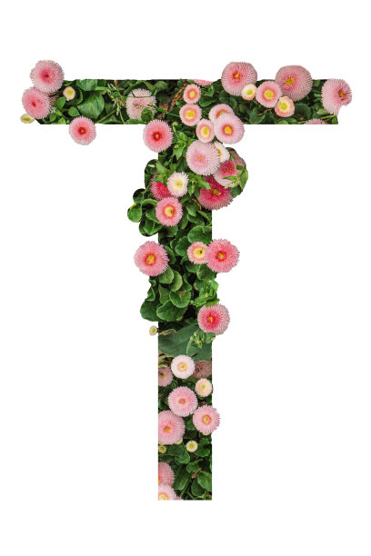 字母T由真正的天然花和叶子制成。花字体的概念。独特的字母和数字集合。春夏季情人节创意图片下载