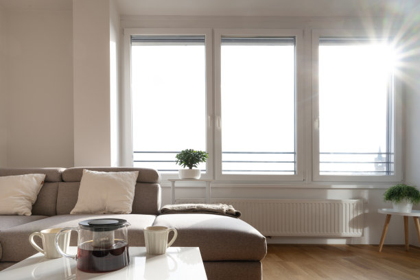 明亮的公寓客厅图片下载