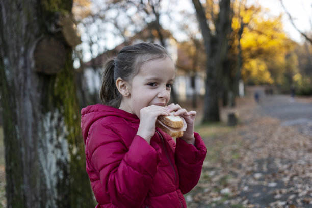 孩子在公园里吃三明治图片下载