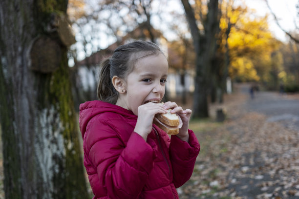 孩子在公园里吃三明治图片下载