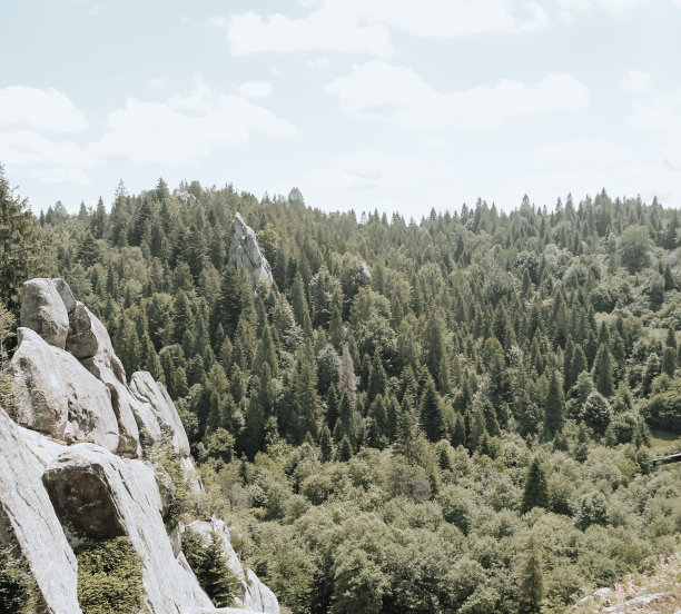 山上有巨石。森林中巨大的石崖。夏天山地景观。图片下载