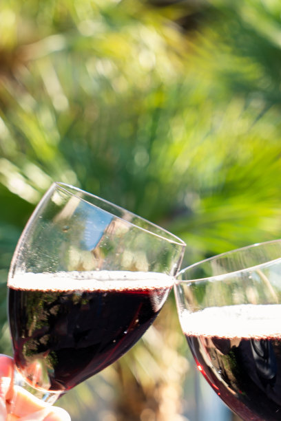 Lambrusco玻璃气泡酒图片下载