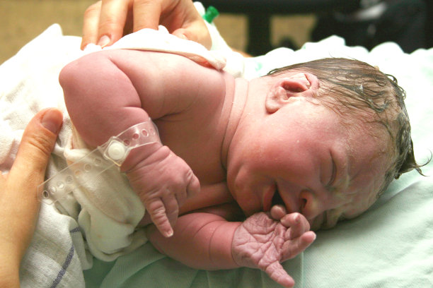 新生的婴儿图片下载