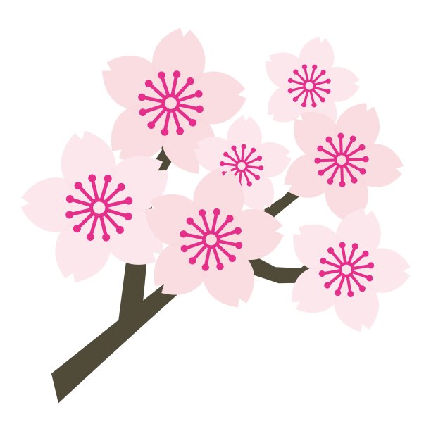 樱花的插图材料图片下载
