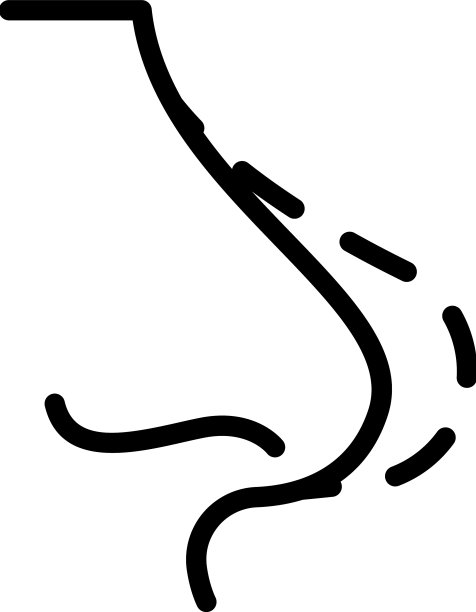 鼻整形术图标轮廓脸图片下载