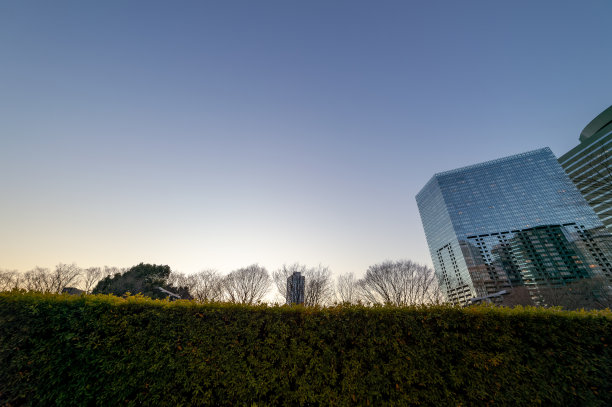 西新宿、新宿、东京傍晚的城市景观。图片下载