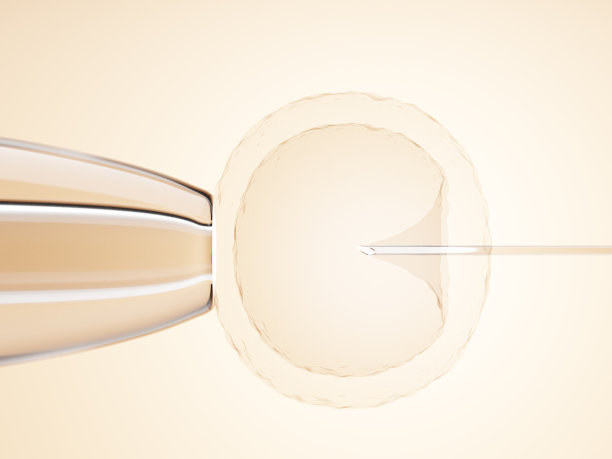 用针进行人工授精或体外受精的卵子。3 d图呈现。图片下载