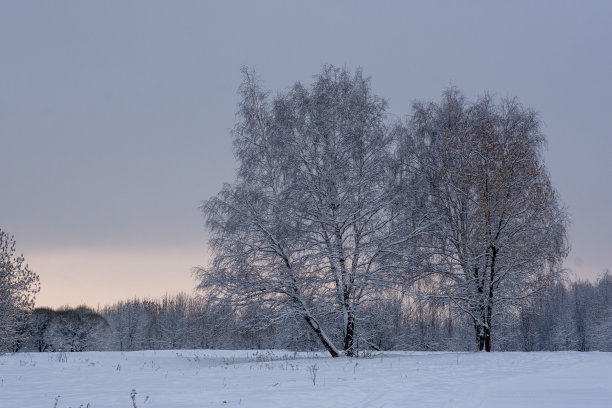 莫斯科下大雪。新年前夕图片下载