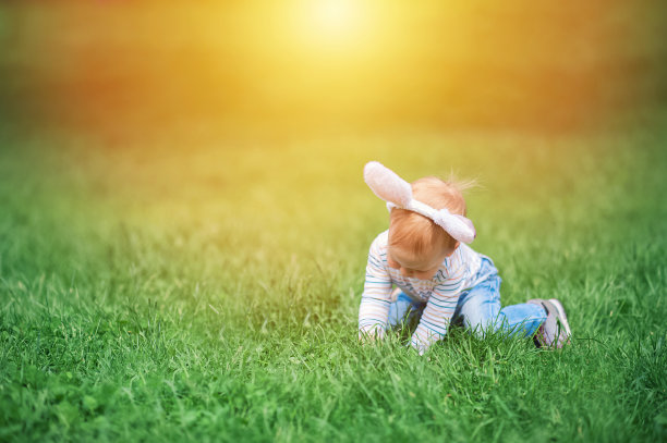 幼童鸡蛋猎人在草地上的特写与兔子耳朵…图片下载