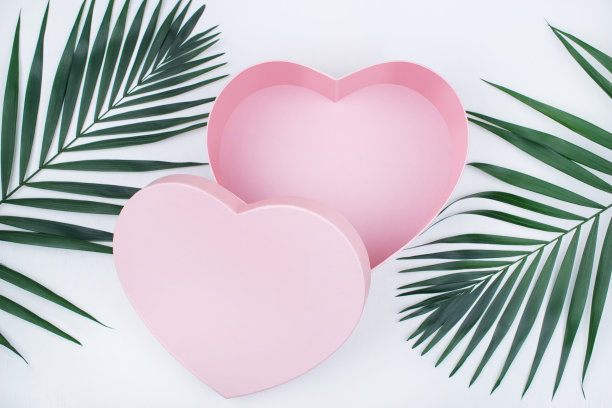 粉红色的情人节礼物盒铁锹叶图片下载