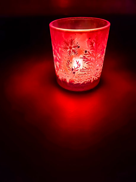 舒适的光线与野生主题图片下载