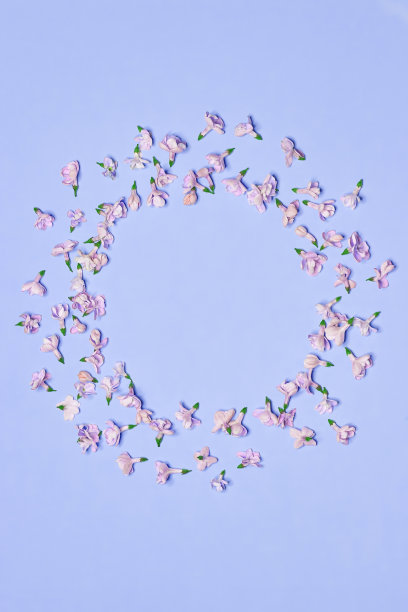 花的成分。淡紫色背景上丁香花和春花的框架。复活节,春天音乐会。平躺椅，俯视图，拷贝空间图片下载