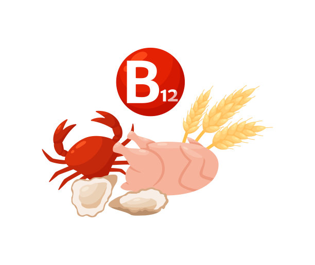 维生素B12存在于海鲜，谷物，鸡肉中。药片中的复合维生素图片下载
