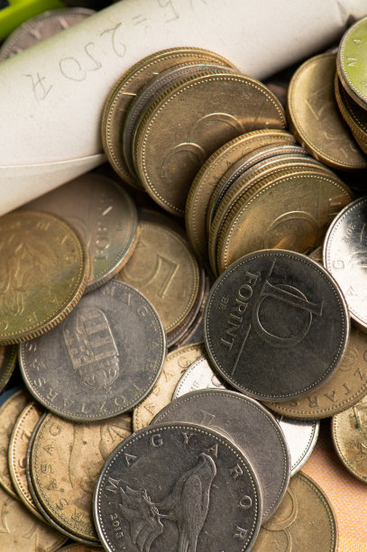 福林，2019年匈牙利新货币图片下载