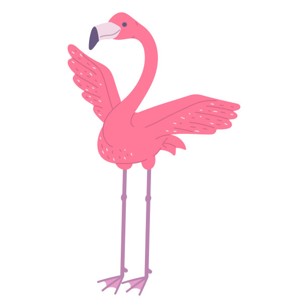 可爱的粉红色的火烈鸟。非洲鸟卡通平面插图。图片下载