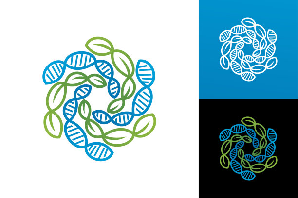 叶片DNA标志模板设计矢量图片下载