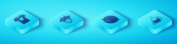 设置等距素食衬衫，牛头，橄榄油和柠檬图标。向量图片下载