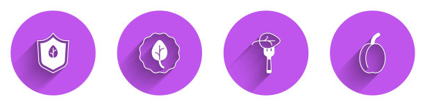 设置素食饮食，叶或叶，和李子水果图标与长阴影。向量图片下载