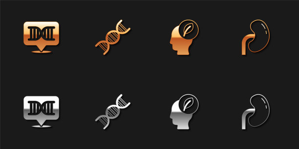 设置DNA符号，，里面有叶子的人头和肾的图标。向量图片下载