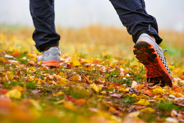 秋叶和男人的运动鞋图片下载