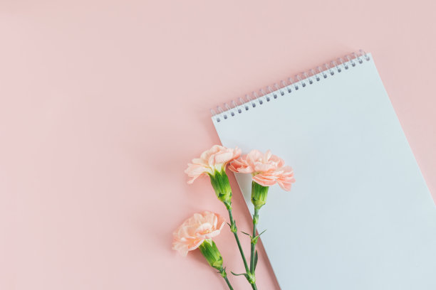 笔记本与空白的页和铅笔在粉红色粉彩的背景。图片下载