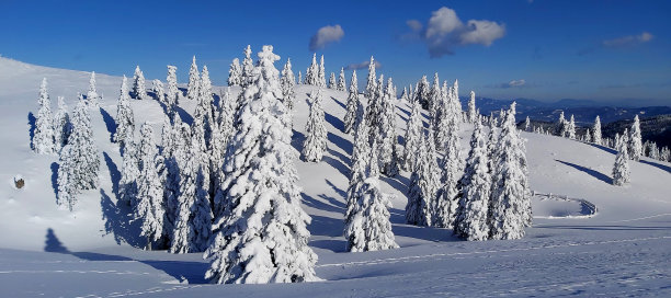 冬天的童话图片下载