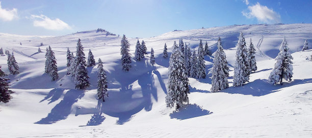 冬天的童话图片下载