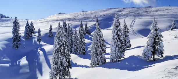 冬天的童话图片下载