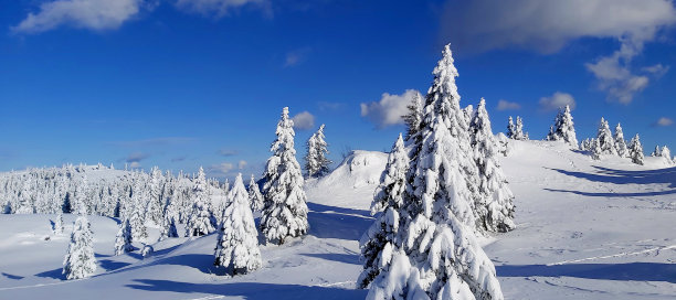 冬天的童话图片下载
