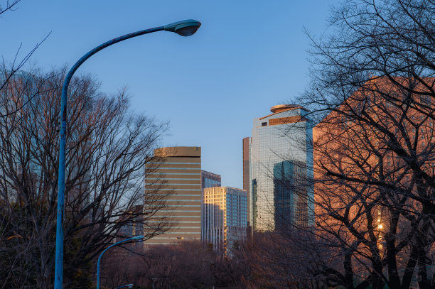 西新宿、新宿、东京傍晚的城市景观。图片下载