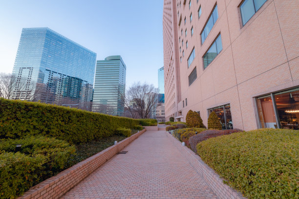 西新宿、新宿、东京傍晚的城市景观。图片下载