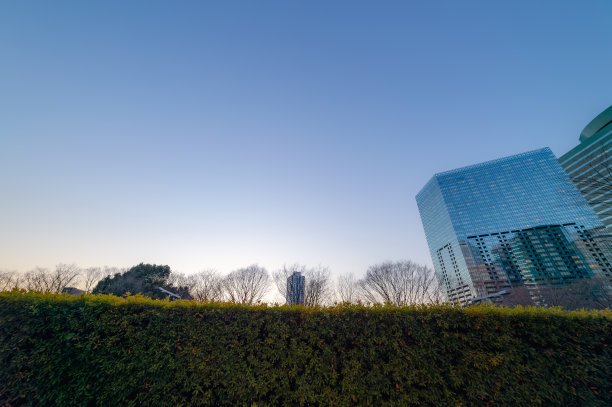 西新宿、新宿、东京傍晚的城市景观。图片下载