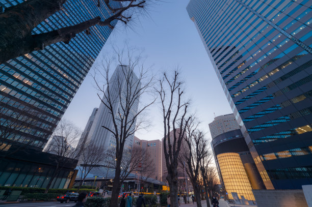 西新宿、新宿、东京傍晚的城市景观。图片下载