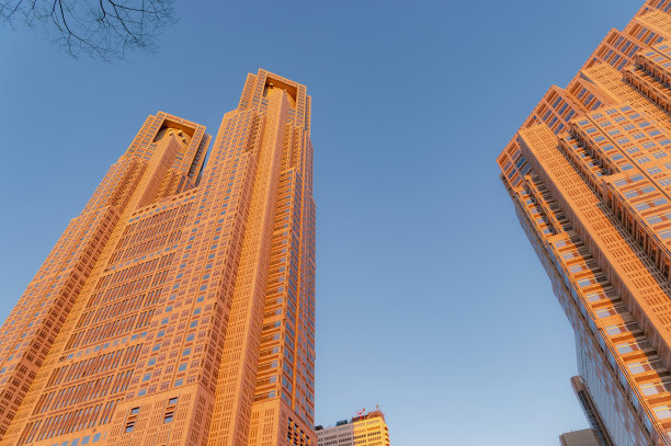 西新宿、新宿、东京傍晚的城市景观。图片下载