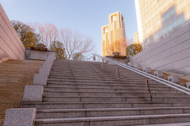 西新宿、新宿、东京傍晚的城市景观。图片下载