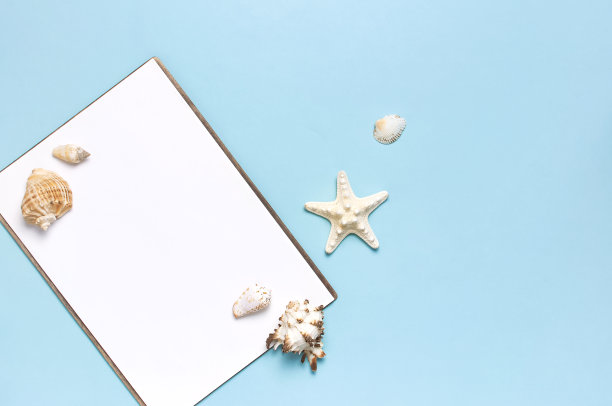 夏日概念，海洋背景。贝壳，海星，白色的空白表在柔和的蓝色背景。俯视图，平躺，复制空间。海洋暑假模型。旅游、海洋纪念品。图片下载
