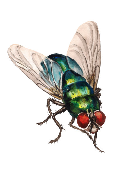 水彩吹飞图片下载